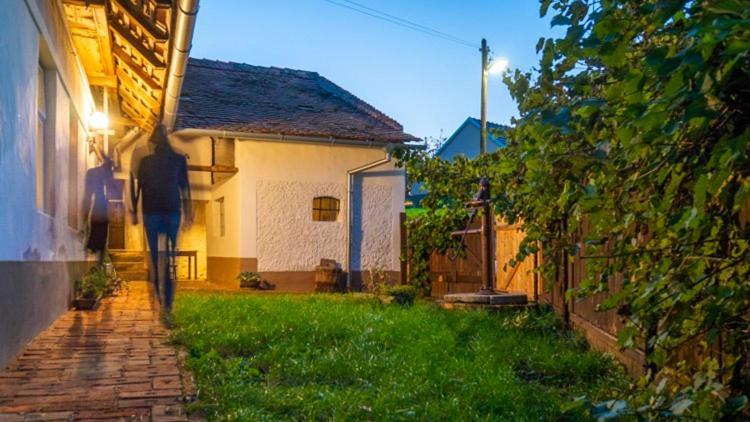Cejkovicky Domek Cejkovice  Exteriör bild